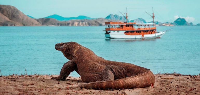 Indonesia’s Komodo Island