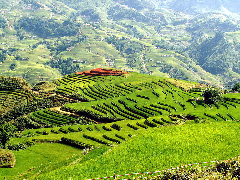 Hike through Sapa